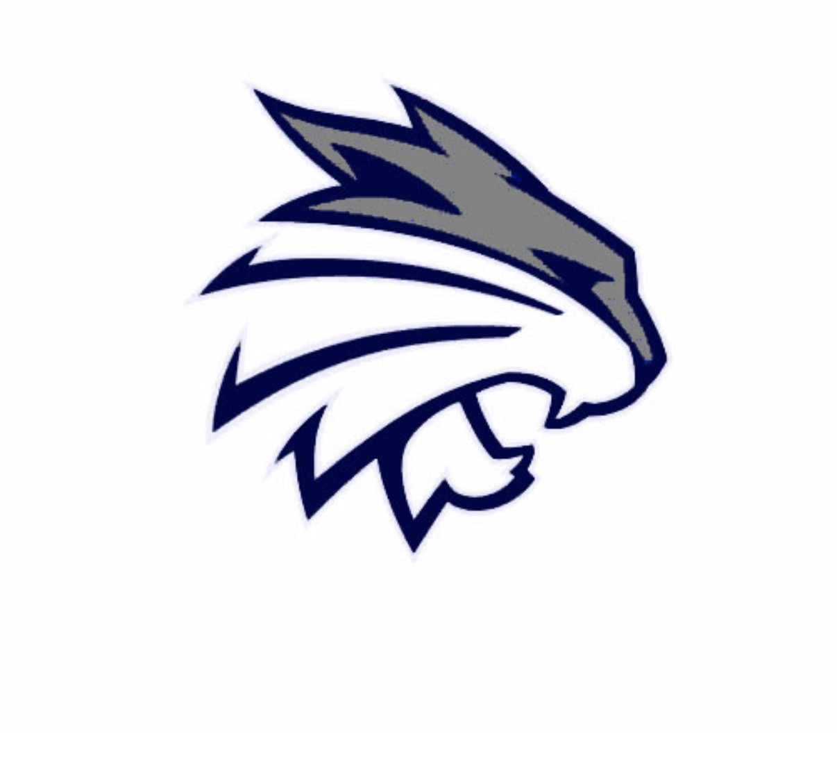 Navy and silver Bobcat Football Club mascot